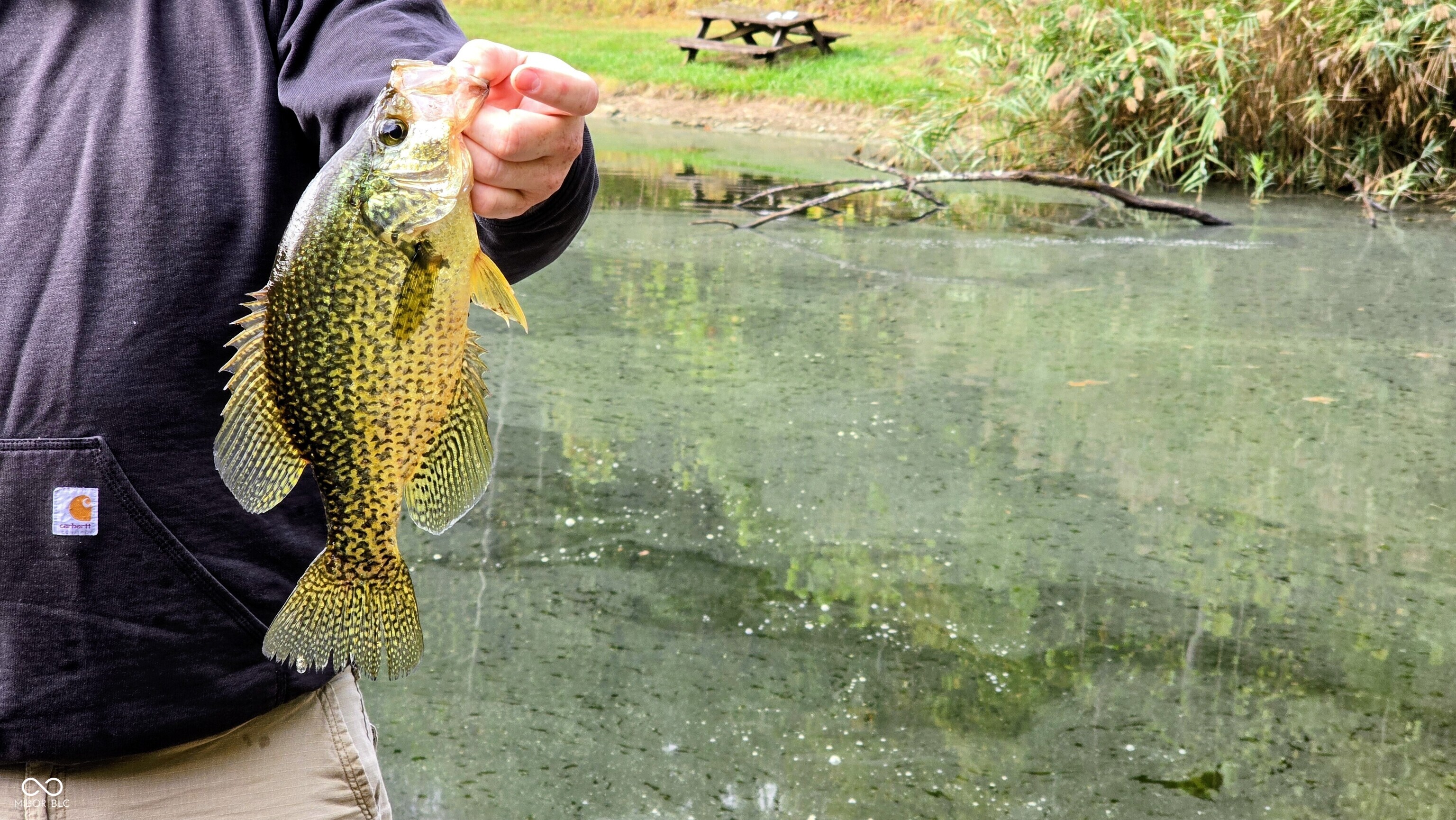 3896 Long Run Road Vevay, IN 47043 - Photo 121 of 137