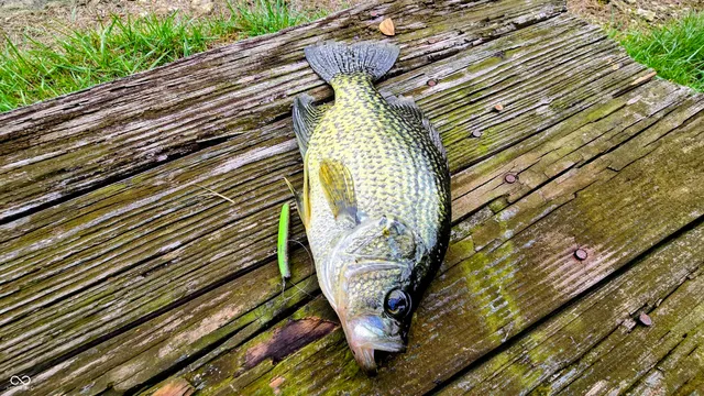 $1,250,000 | 3896 Long Run Road, Vevay, IN 47043