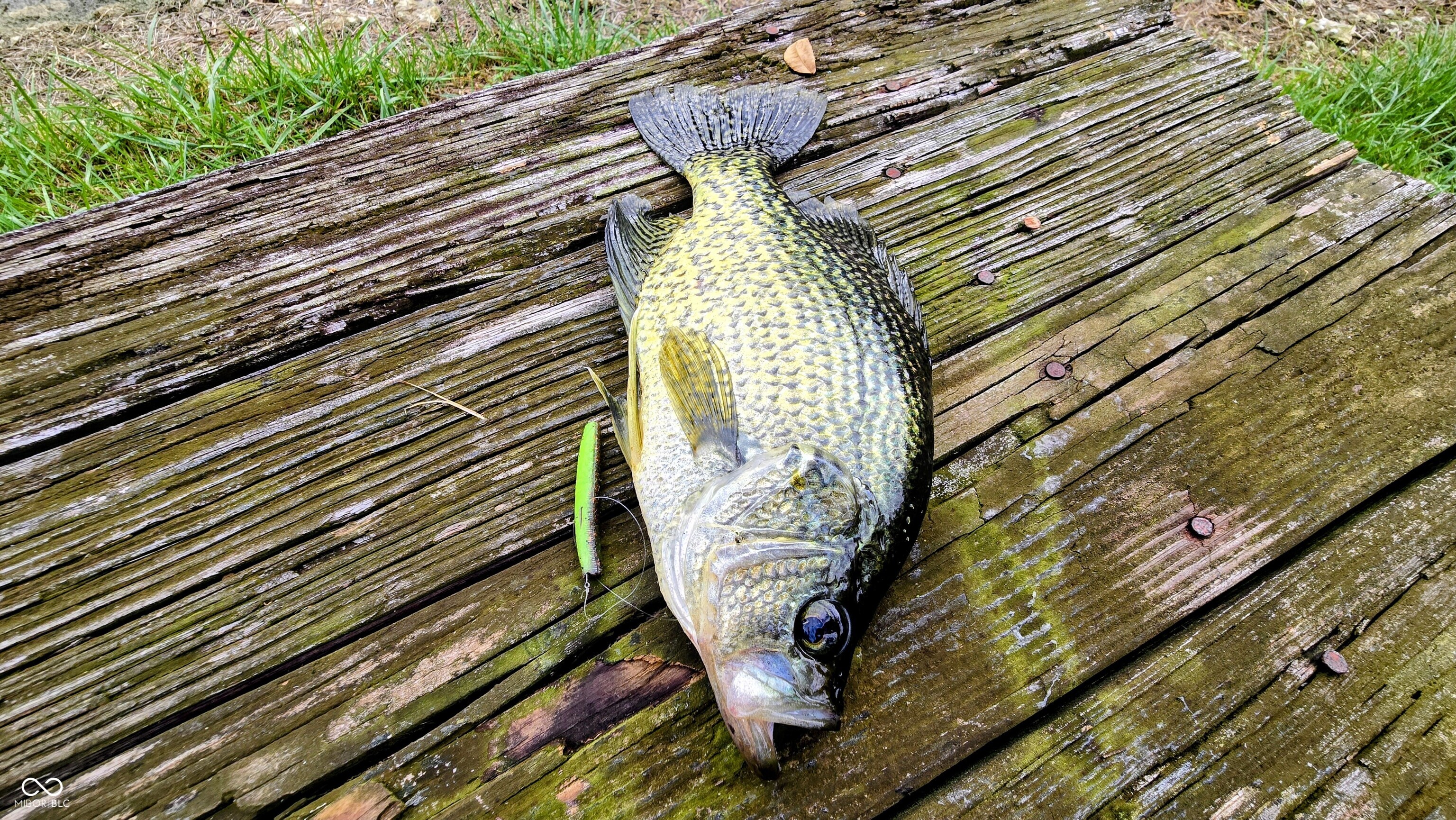 3896 Long Run Road Vevay, IN 47043 - Photo 124 of 137