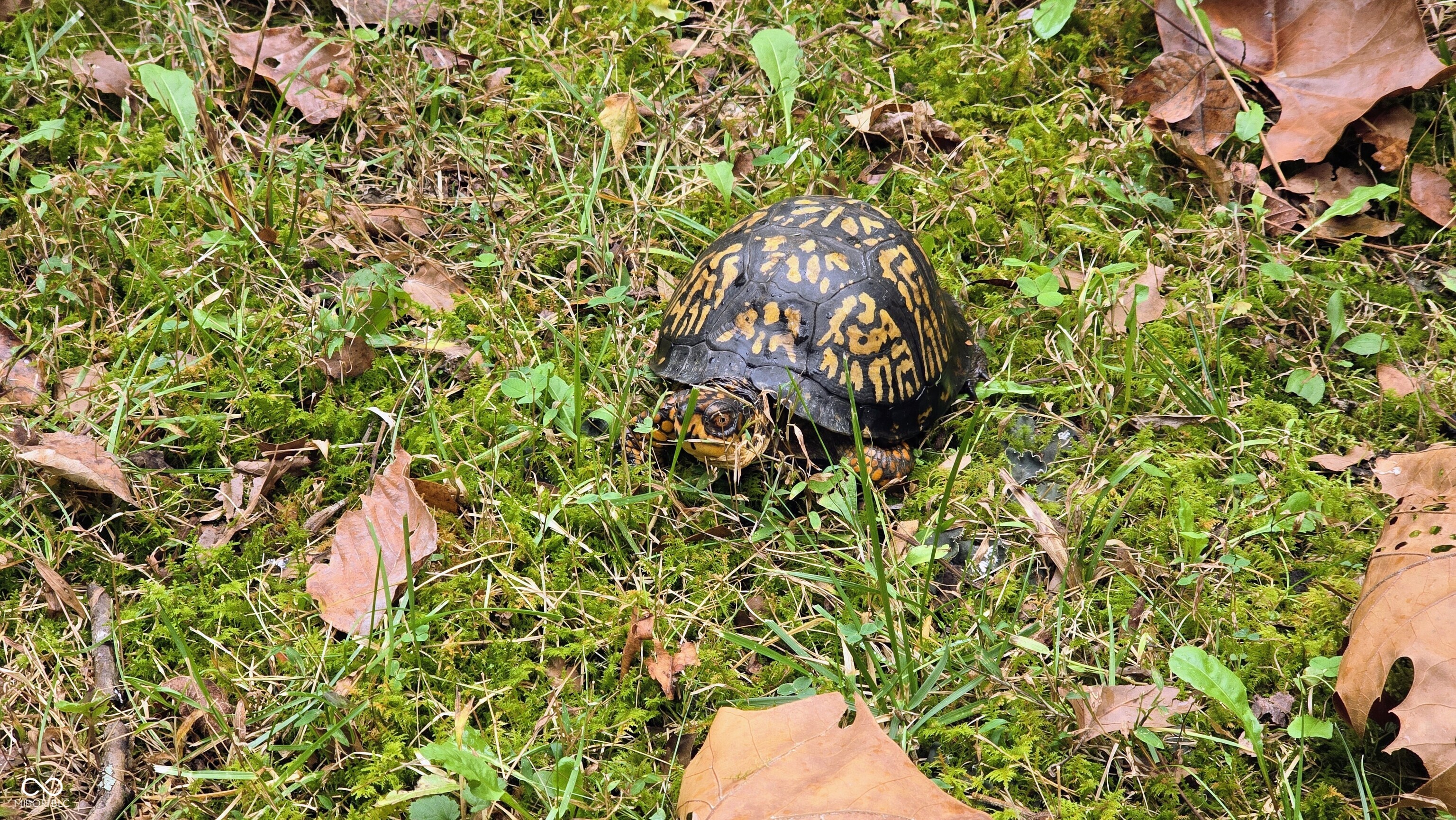 3896 Long Run Road Vevay, IN 47043 - Photo 125 of 137