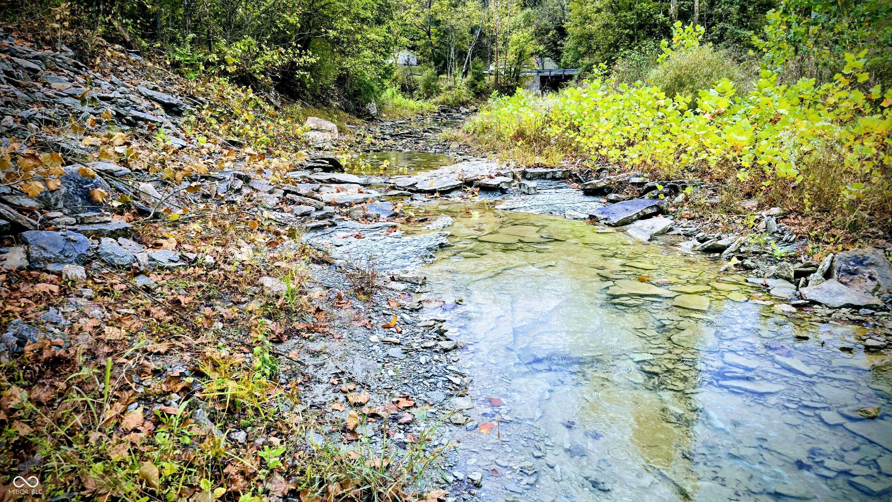 3896 Long Run Road Vevay, IN 47043 - Photo 131 of 137