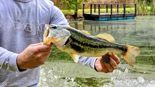 $1,250,000 | 3896 Long Run Road, Vevay, IN 47043