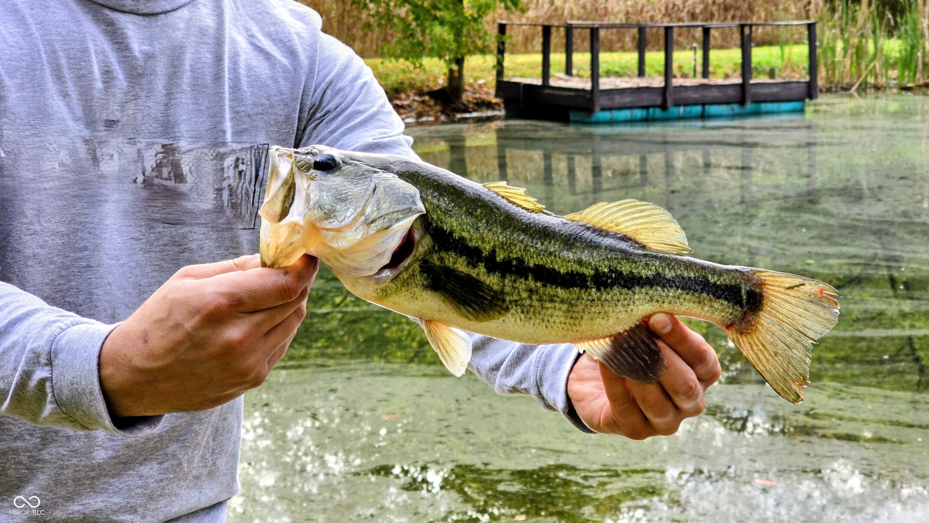 3896 Long Run Road Vevay, IN 47043 - Photo 8 of 137