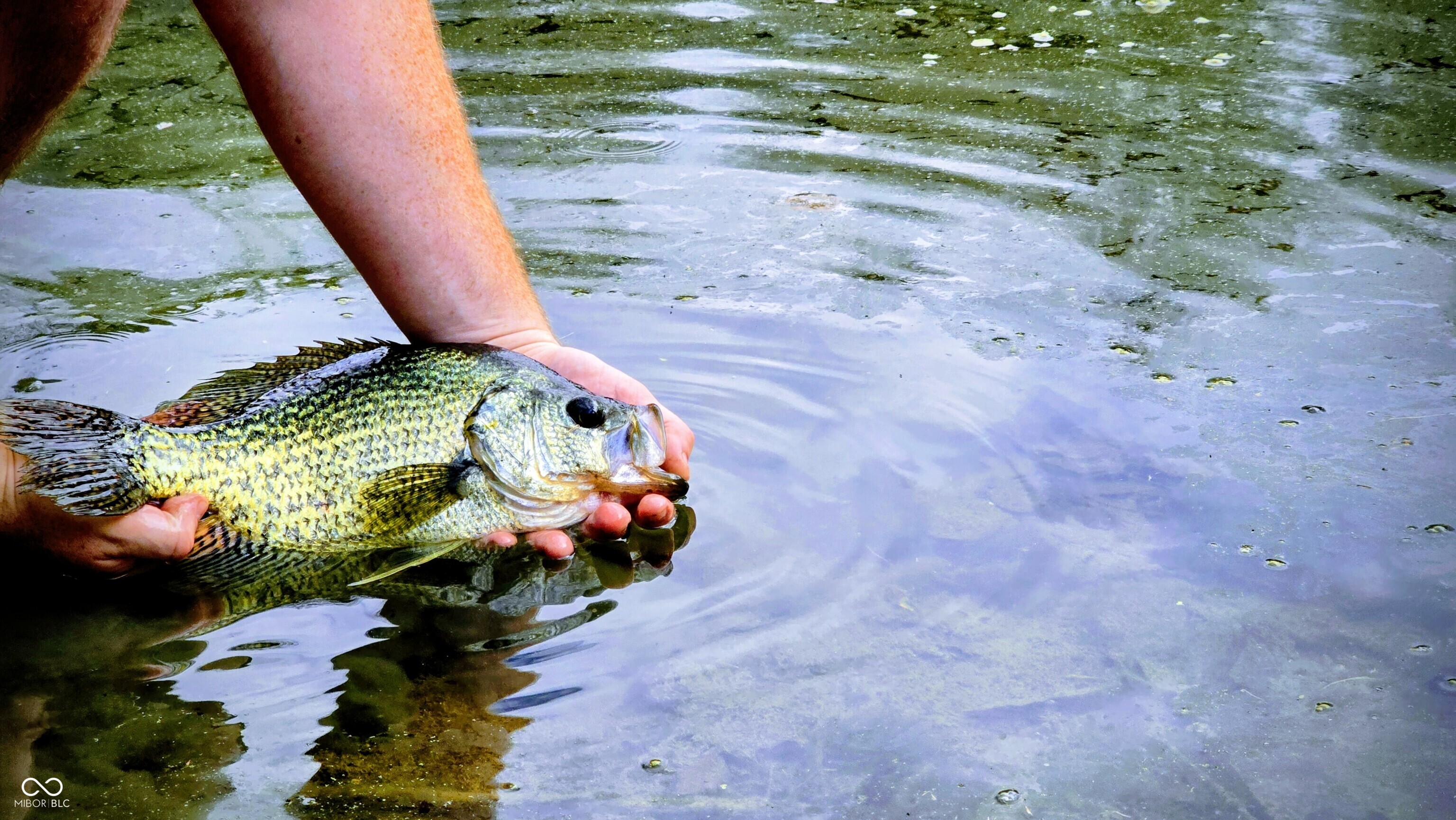 3896 Long Run Road Vevay, IN 47043 - Photo 9 of 137