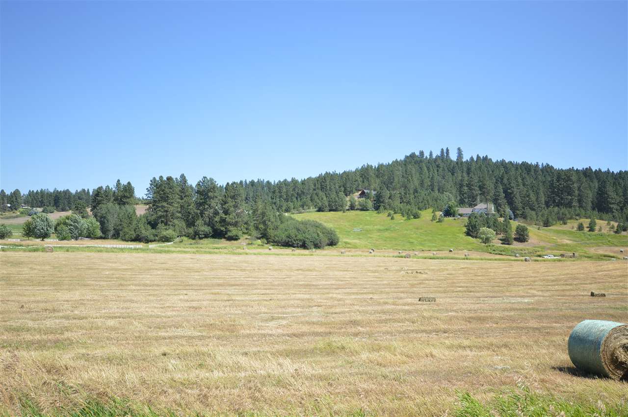 Nna East Moffat Road Mead, WA 99021 - Photo 3 of 11