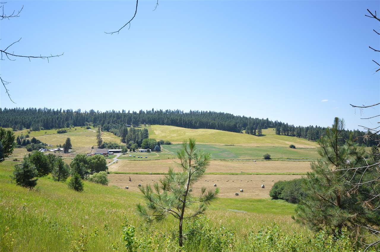 Nna East Moffat Road Mead, WA 99021 - Photo 8 of 11