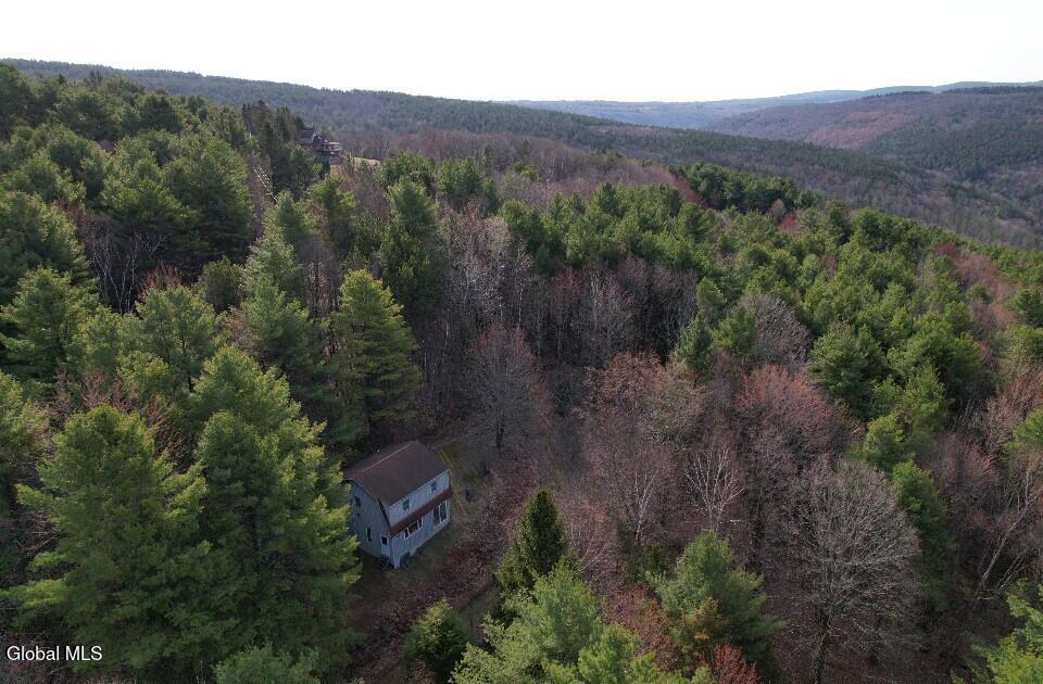 224 High Pine Meadows Road Fulton, NY 12122 - Photo 15 of 20 HIGH PINE 5