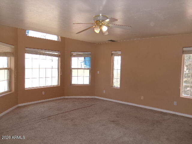1706 Birch Road Cochise, AZ 85606 - Photo 15 of 20 Gallery Image 15