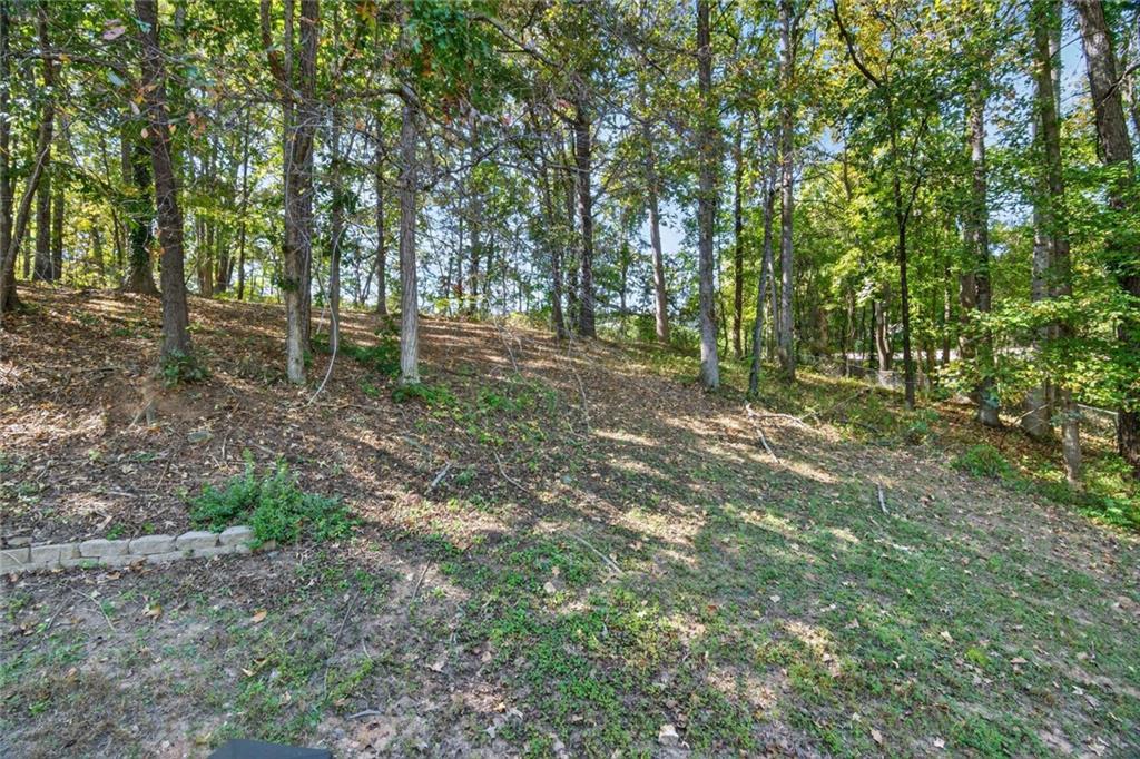 232 Barrett Springs Way Canton, GA 30115 - Photo 27 of 29 a view of outdoor space and trees