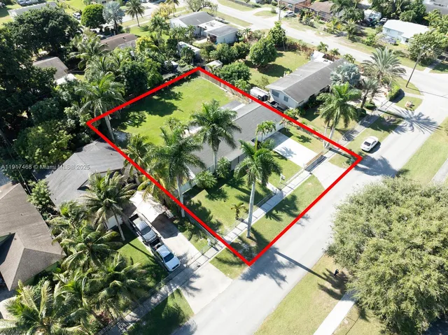 an aerial view of a tennis ground and a large tree