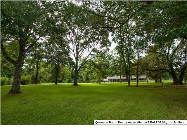 45225 Melancon Road St. Amant, LA 70774 - Photo 3 of 19 Gallery Image 3