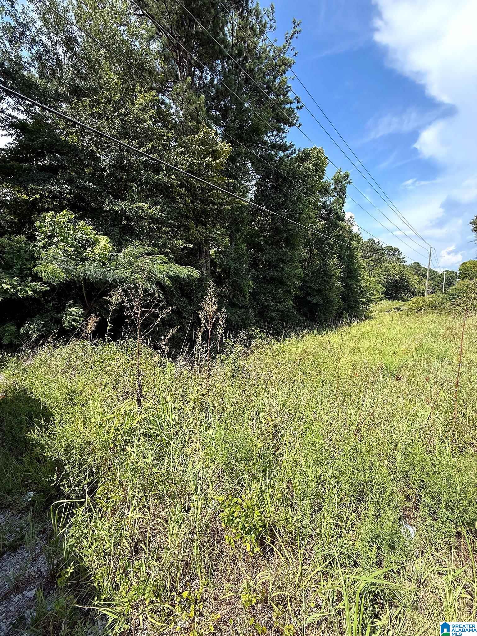 0 Highway 78 Riverside, AL 35135 - Photo 5 of 5