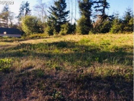 Vista Ridge Brookings, OR 97415 - Photo 1 of 1 Gallery Image 1