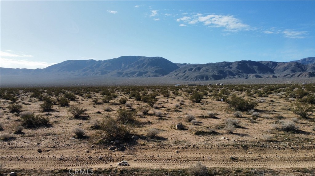 17 Old Woman Springs Road Johnson Valley, CA 92285 - Photo 2 of 9
