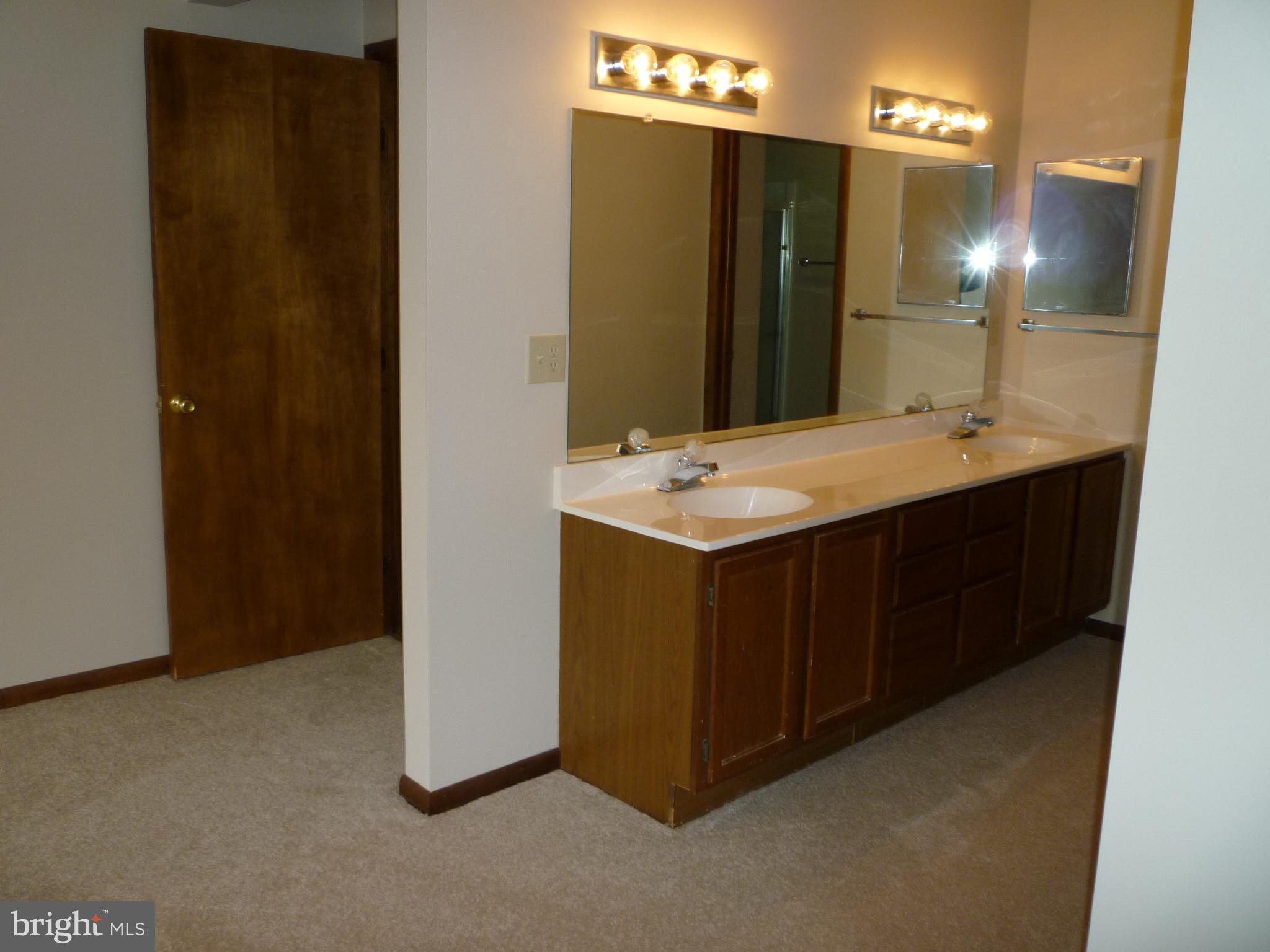 208 Hood's Point Road Basye, VA 22810 - Photo 17 of 27 Large master bath with walk-in closet