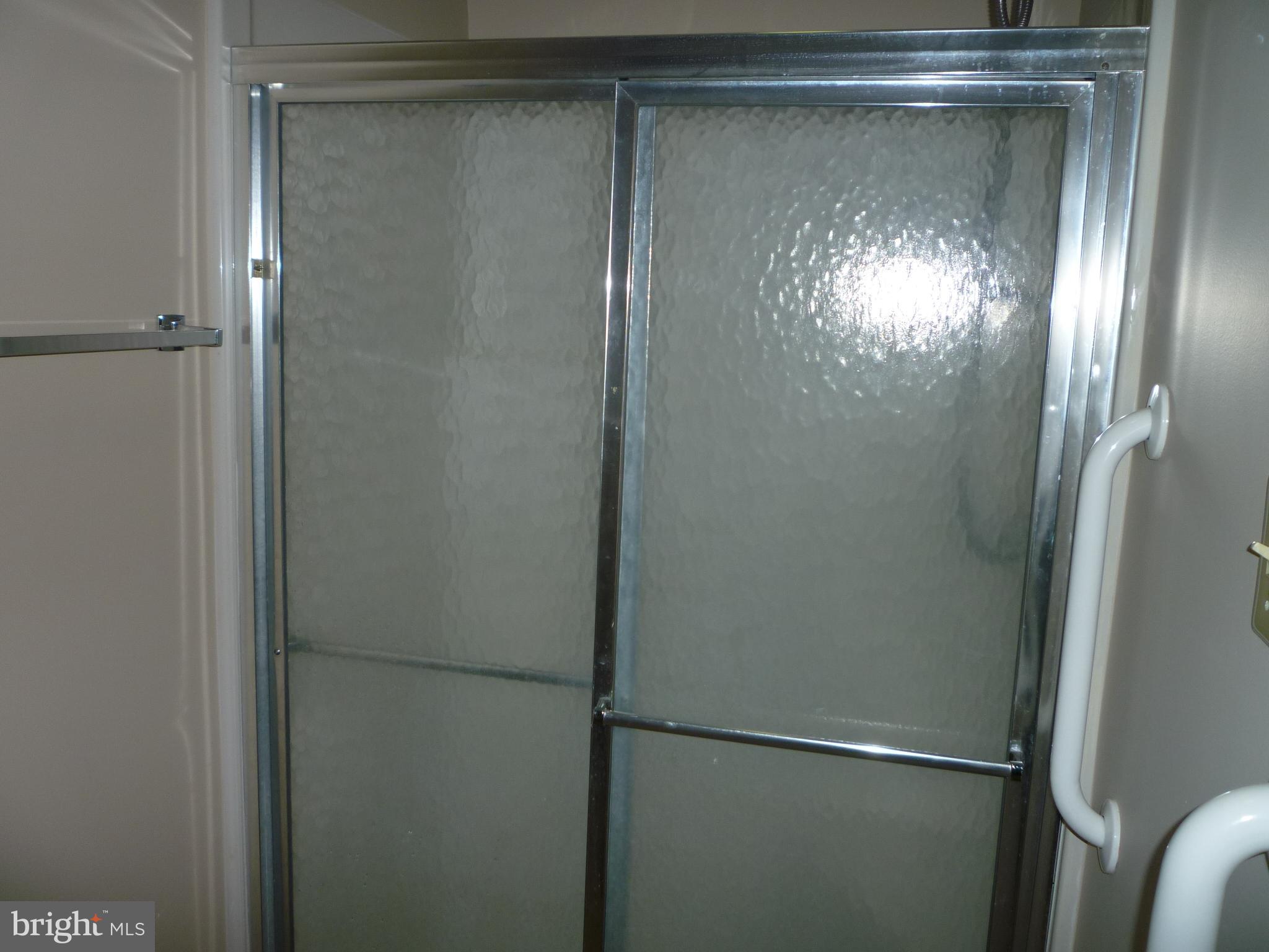 208 Hood's Point Road Basye, VA 22810 - Photo 18 of 27 Walk-in shower
