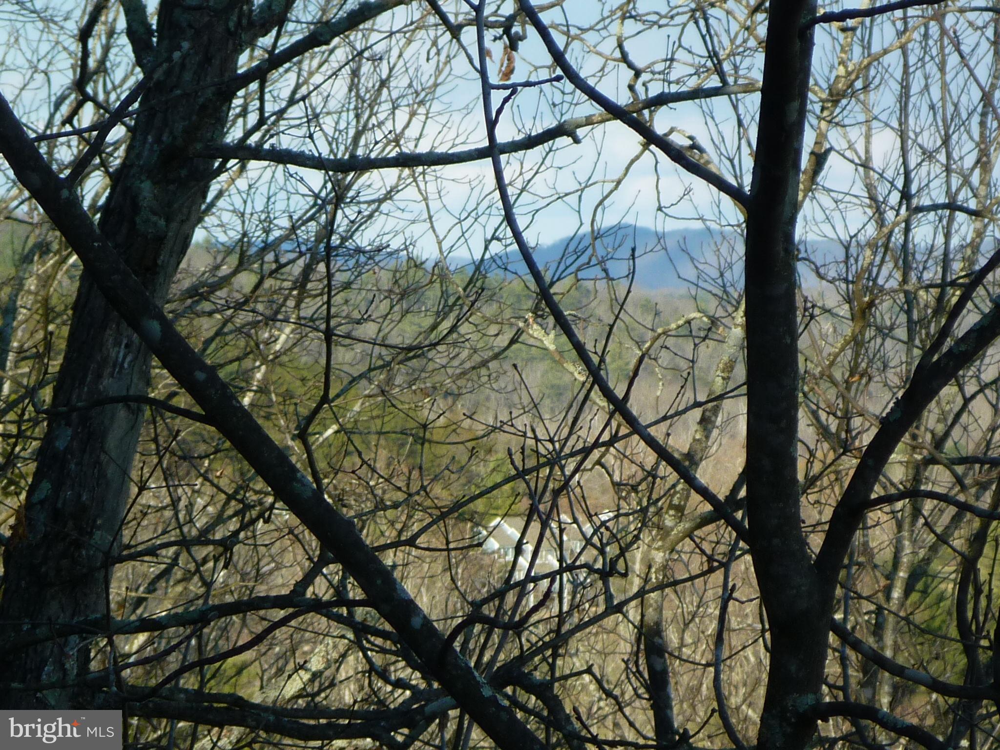 Mountain Views