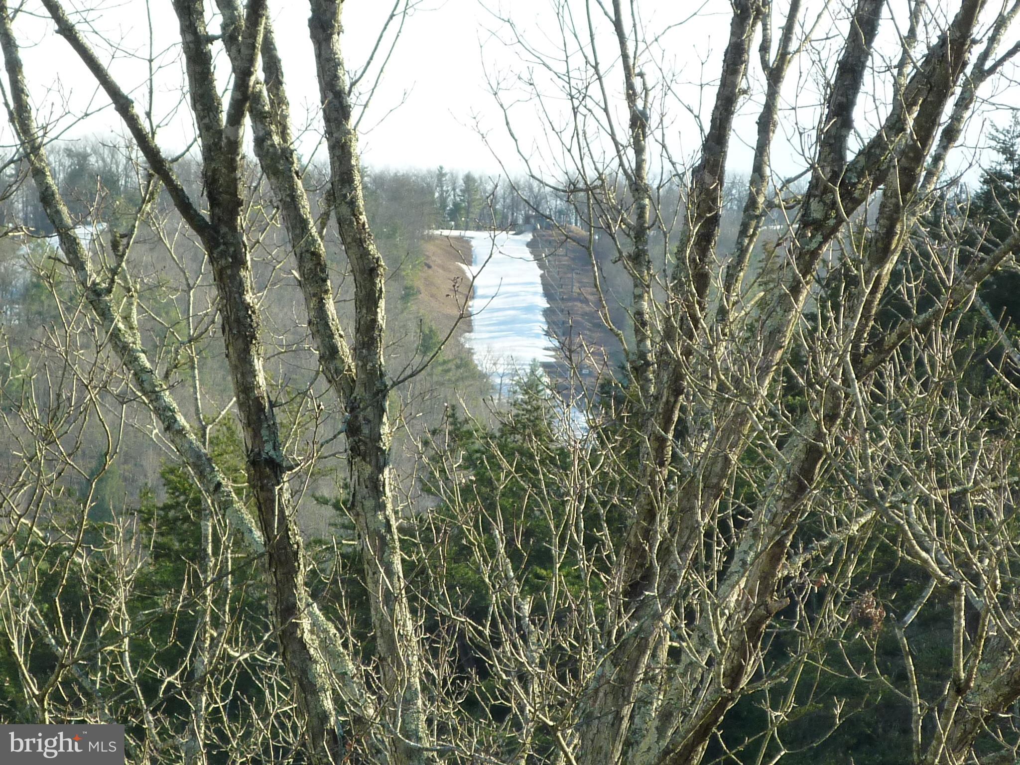 Ski slopes view from deck