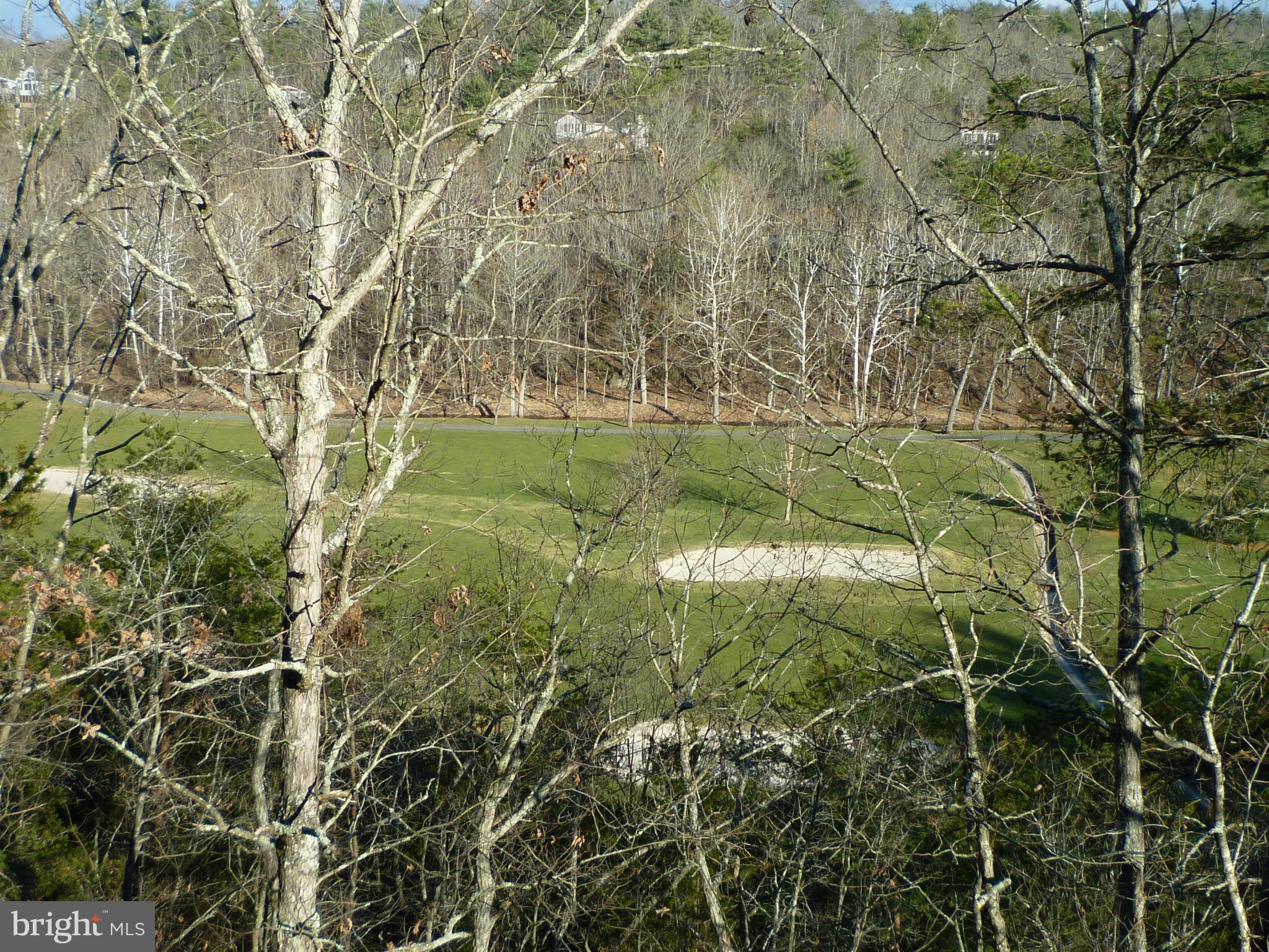 208 Hood's Point Road Basye, VA 22810 - Photo 8 of 27 View of the golf course