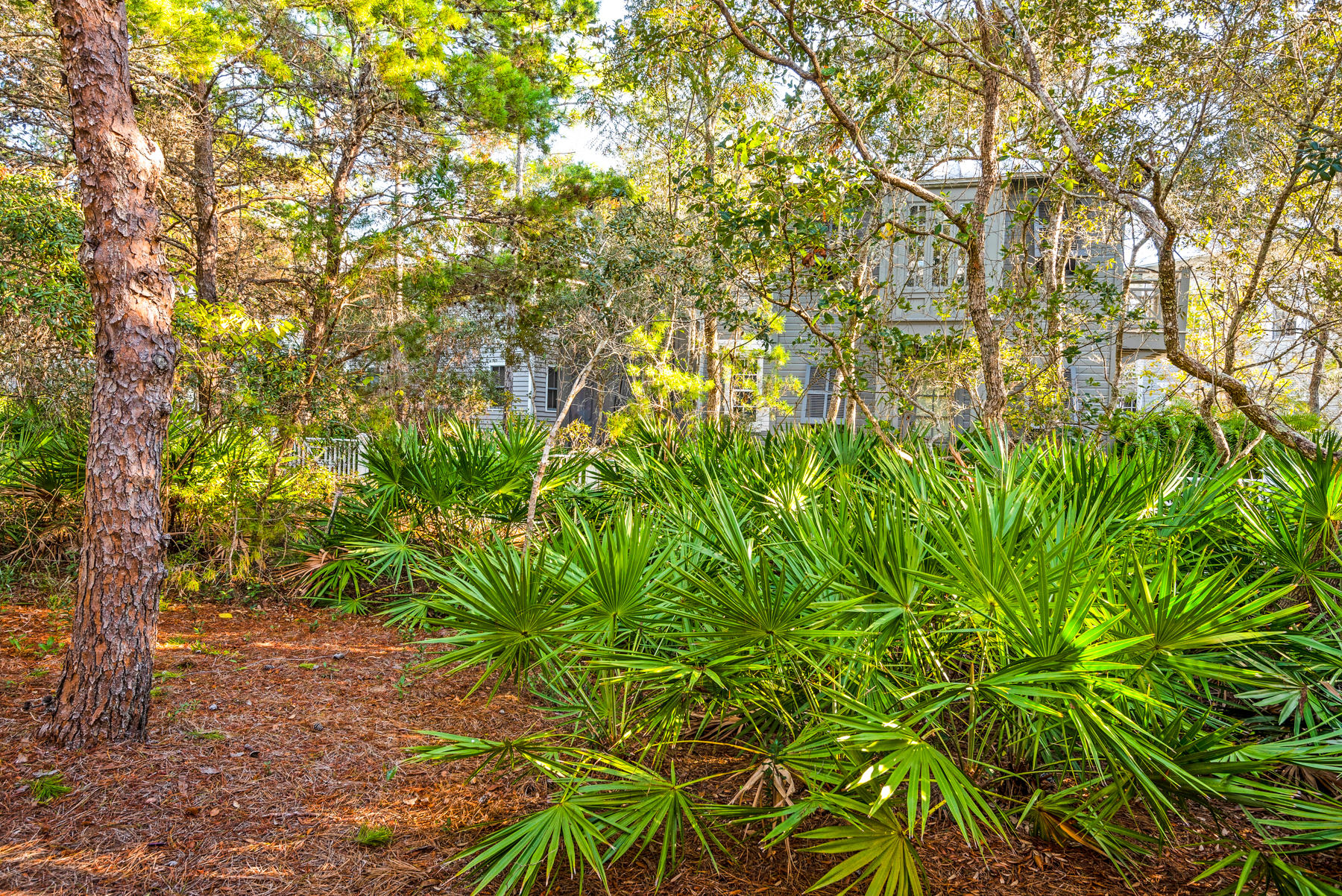 108 Silver Laurel Way Santa Rosa Beach, FL 32459 - Photo 49 of 56 Gallery Image 49