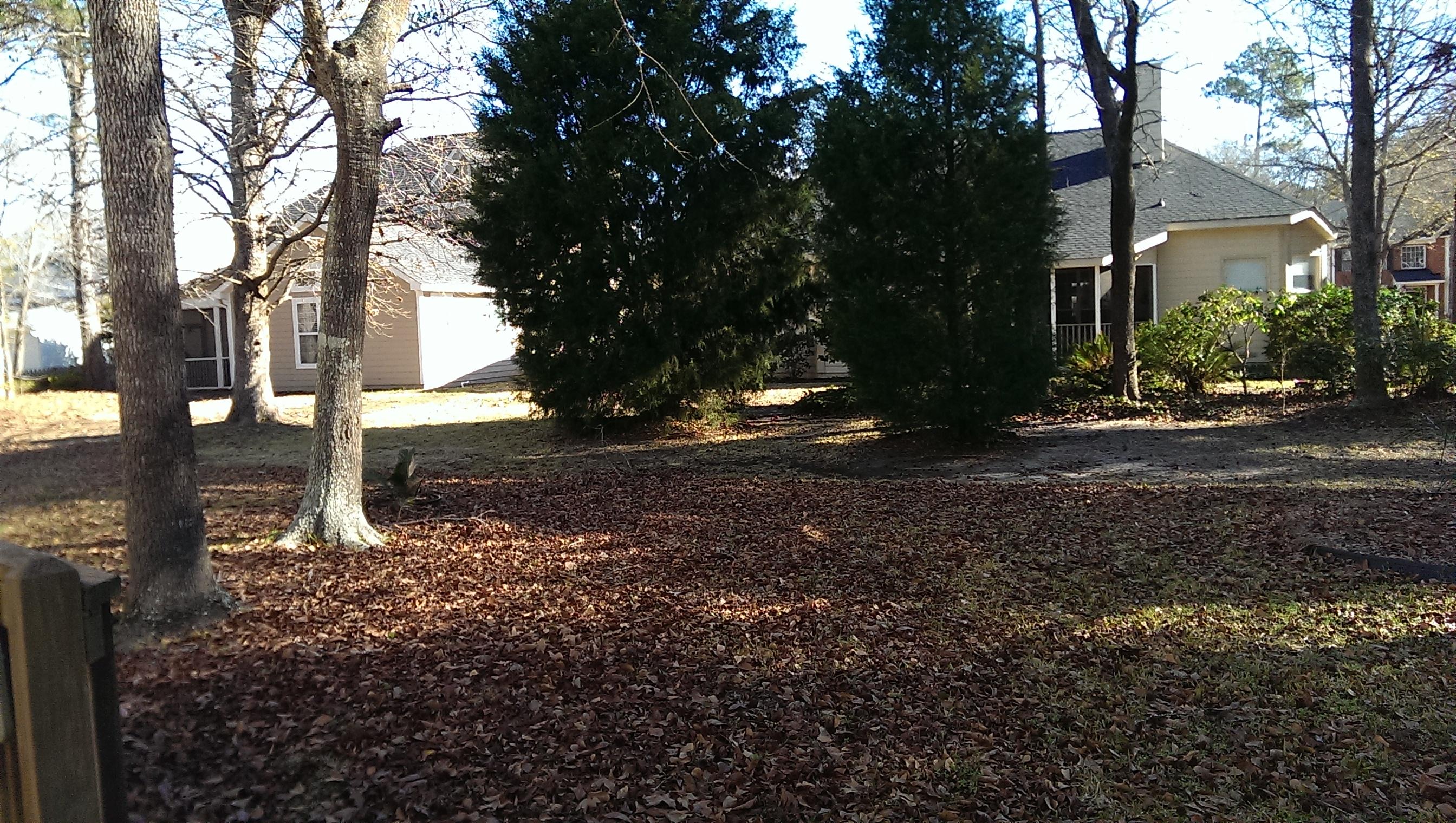 2782 Merwether Lane Mount Pleasant, SC 29466 - Photo 14 of 33 IMAG4711