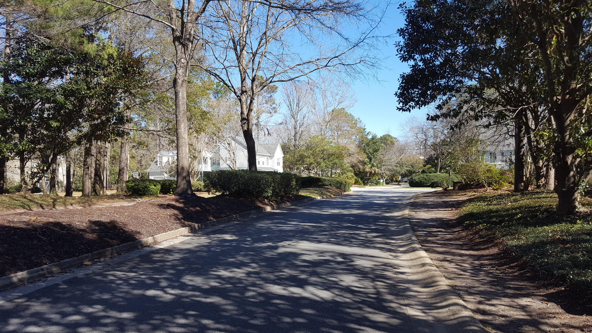 2782 Merwether Lane Mount Pleasant, SC 29466 - Photo 4 of 33 20170217_131808