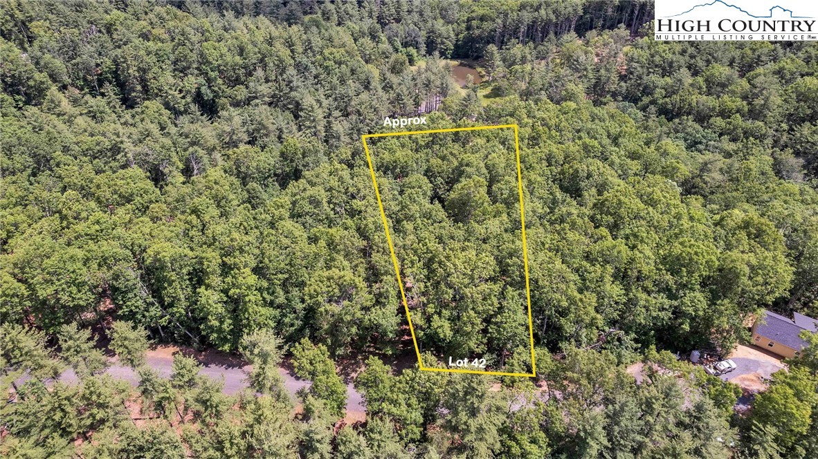 Lot 42 Smoke Rise Path West Jefferson, NC 28694 - Photo 14 of 21 a view of a forest with a tree