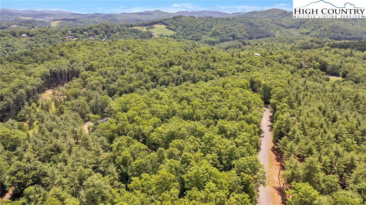 Lot 42 Smoke Rise Path West Jefferson, NC 28694 - Photo 15 of 21 a view of a lush green field with lots of bushes