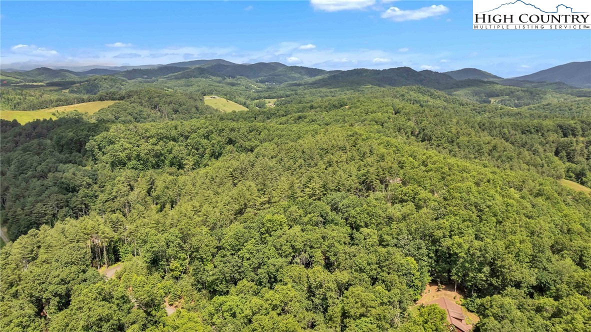 Lot 42 Smoke Rise Path West Jefferson, NC 28694 - Photo 17 of 21 a view of a lush green hillside and a mountain view