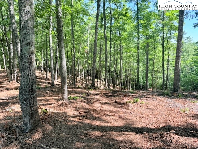 Lot 42 Smoke Rise Path West Jefferson, NC 28694 - Photo 2 of 21 a view of a yard with plants and trees