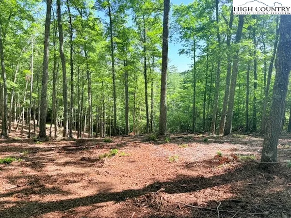 a view of outdoor space with trees