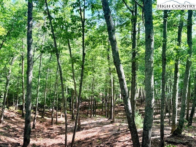Lot 42 Smoke Rise Path West Jefferson, NC 28694 - Photo 4 of 21 a view of outdoor space and trees