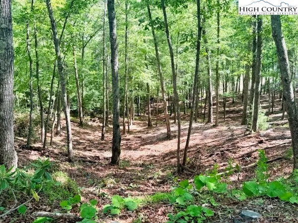 a view of outdoor space with lots of trees