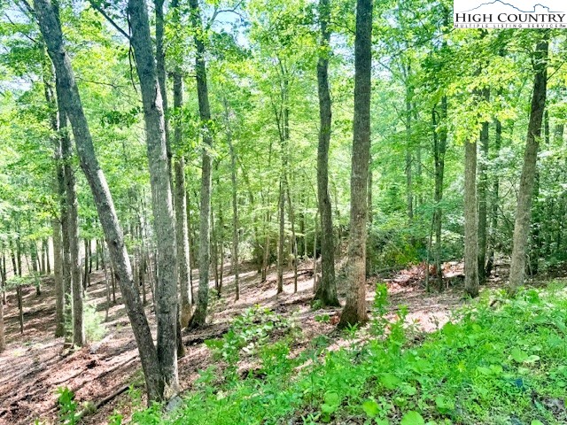 Lot 42 Smoke Rise Path West Jefferson, NC 28694 - Photo 6 of 21 a view of outdoor space and yard