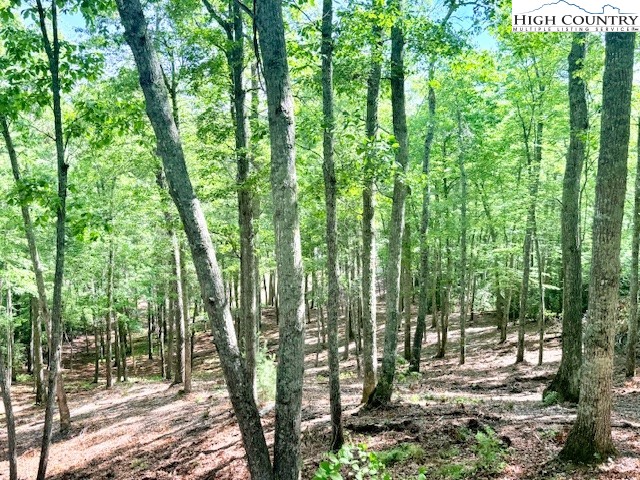 Lot 42 Smoke Rise Path West Jefferson, NC 28694 - Photo 7 of 21 a view of outdoor space and garden view