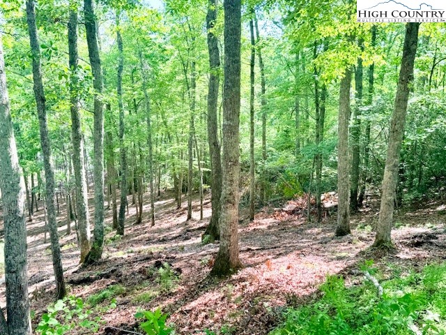 Lot 42 Smoke Rise Path West Jefferson, NC 28694 - Photo 8 of 21 a view of outdoor space and garden