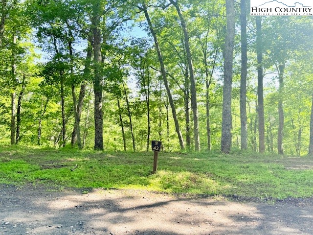 Lot 42 Smoke Rise Path West Jefferson, NC 28694 - Photo 9 of 21 a backyard of a house with lots of green space