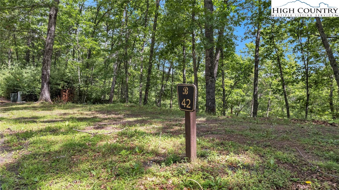 Lot 42 Smoke Rise Path West Jefferson, NC 28694 - Photo 10 of 21 a fire hydrant in the middle of a field
