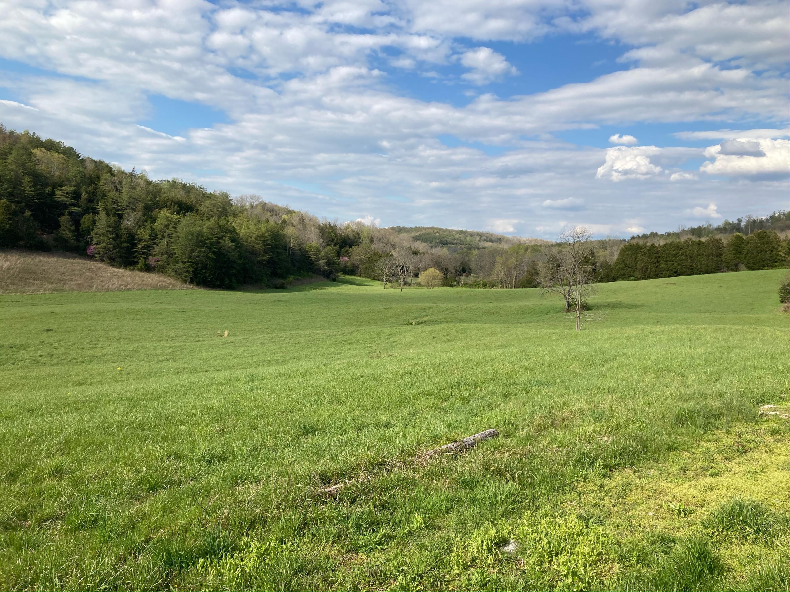 5471 Public Road Somerset, KY 42503 - Photo 12 of 17 IMG_5367