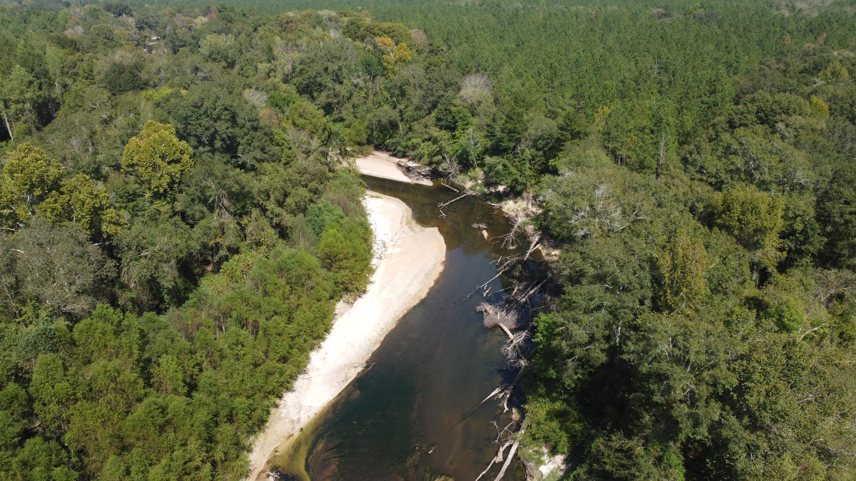 0 Hickory Grove Church Road Richton, MS 39476 - Photo 1 of 9 DJI_0484