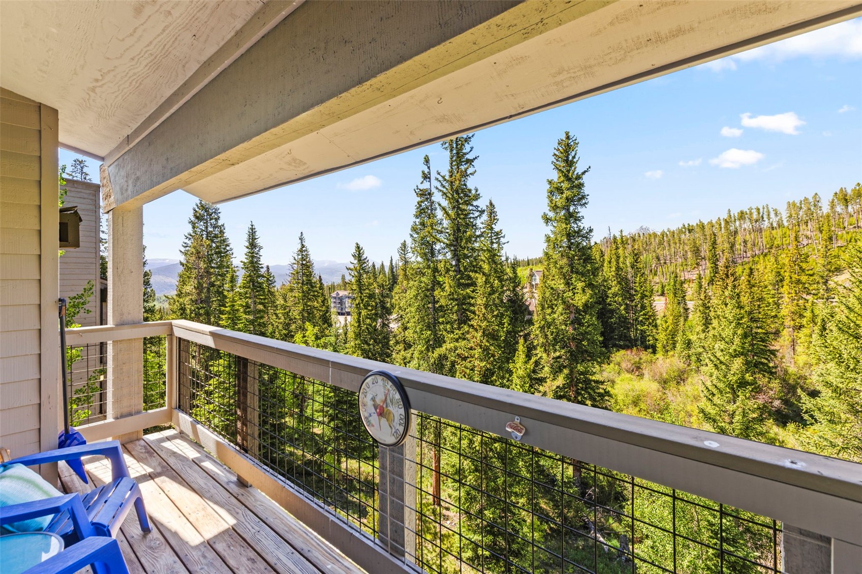 91399 Ryan Gulch Road, Unit B1 Silverthorne, CO 80498 - Photo 36 of 41