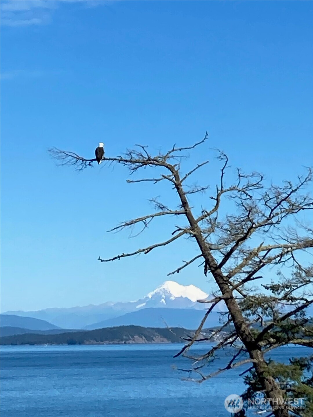 403 Eliza Road Lopez Island, WA 98261 - Photo 12 of 33