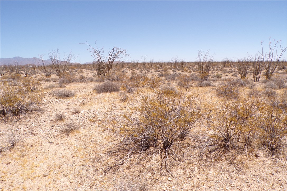 245-24-140 Ray Road Yucca, AZ 86438 - Photo 8 of 19