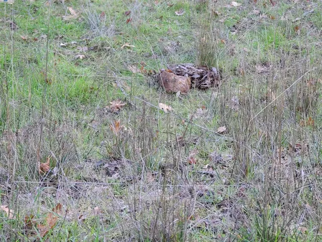 $99,900 | 116-116 Ridgecrest Drive, Napa, CA 94558