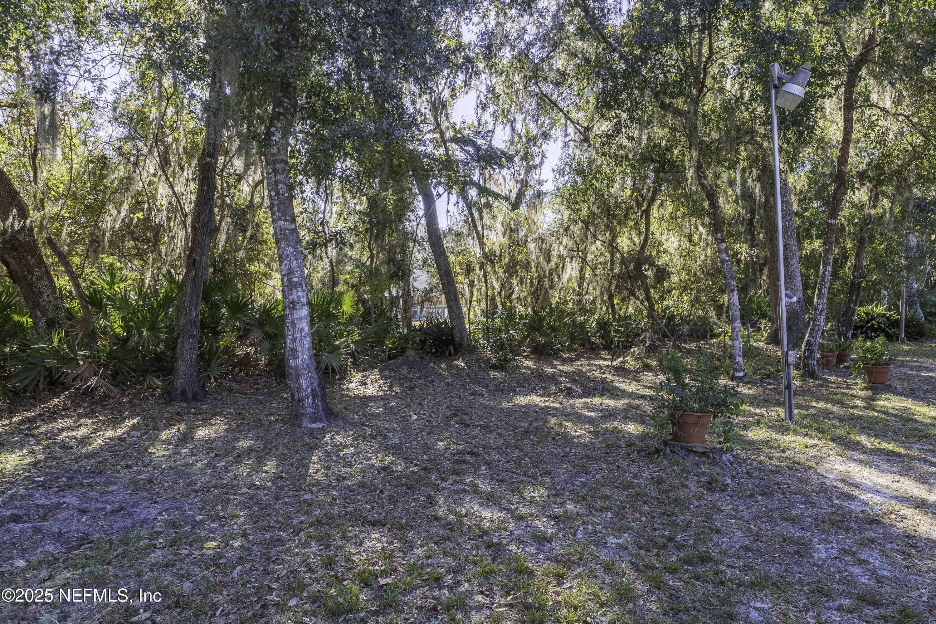 103 Indian Mound Road Satsuma, FL 32189 - Photo 35 of 36 a view of a forest with trees in the background