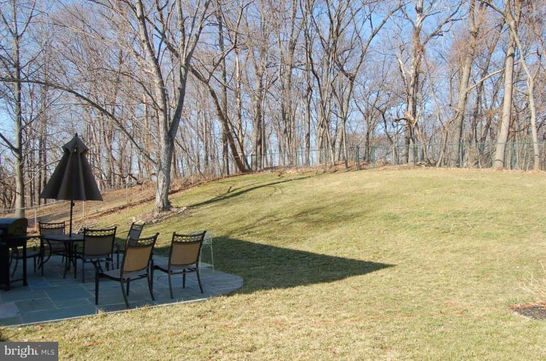 19237 Treadway Road Brookeville, MD 20833 - Photo 21 of 26 Unique #1