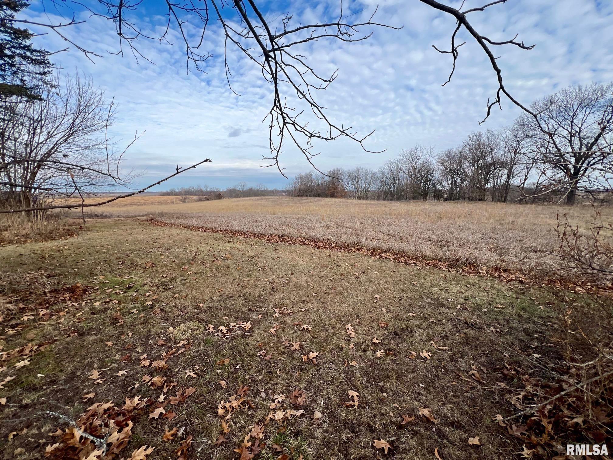 13774 East County Line Road Oakford, IL 62673 - Photo 29 of 32 Gallery Image 29