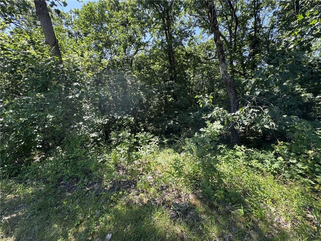 Lot 65 Southeast 591st Road Warrensburg, MO 64093 - Photo 2 of 11