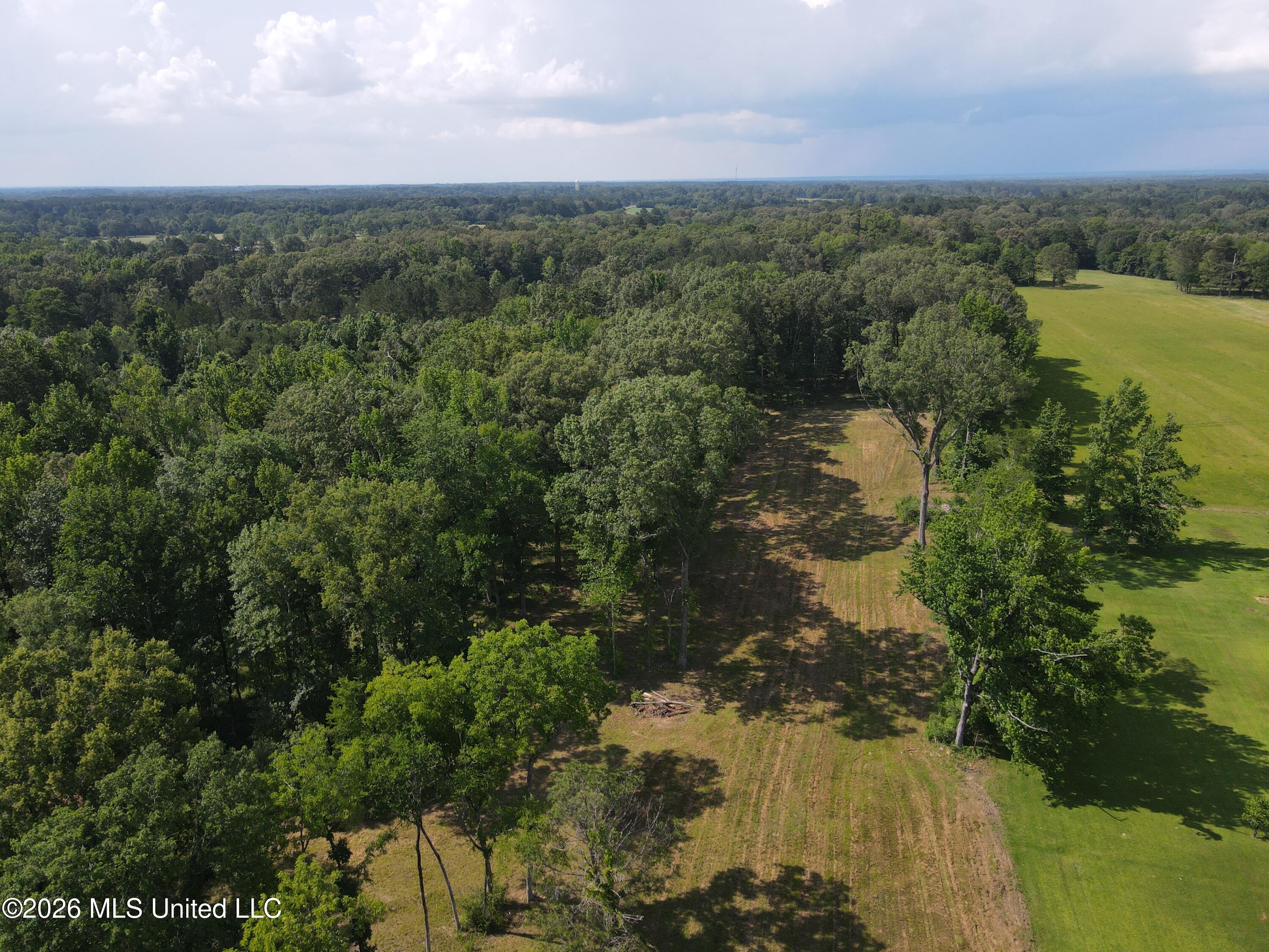 512 Ratliff Ferry Road Canton, MS 39046 - Photo 1 of 42 1