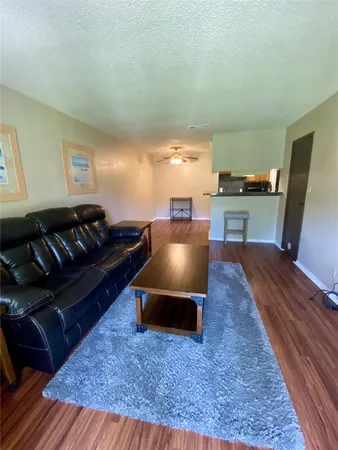 a living room with furniture rug and window